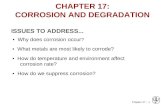 Chapter 17 - 1 ISSUES TO ADDRESS... Why does corrosion occur ? What metals are most likely to corrode? How do temperature and environment affect corrosion.