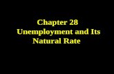 Chapter 28 Unemployment and Its Natural Rate. 28.1 IDENTIFYING UNEMPLOYMENT Categories of Unemployment –The problem of unemployment is usually divided.