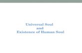 Universal Soul and Existence of Human Soul. The Universal Soul and its manifestations How souls are connected Dust Soul Plant Soul Animal Soul Human Soul