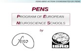 P ROGRAM OF E UROPEAN N EUROSCIENCE S CHOOLS P ROGRAM OF E UROPEAN N EUROSCIENCE S CHOOLS PENSPENS FENS-IBRO ACTION COORDINATED BY PENS by.