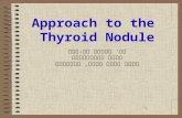 1 Approach to the Thyroid Nodule דר' קרלוס בן-בסט מכון אנדוקריני מרכז רפאי רבין, בלינסון.