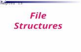 Chapter 13 File Structures. Understand the file access methods. Describe the characteristics of a sequential file. After reading this chapter, the reader.