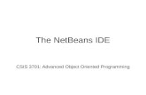 The NetBeans IDE CSIS 3701: Advanced Object Oriented Programming.