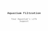 Aquarium Filtration Your Aquarium’s Life Support.