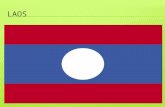 France had established a protectorate over the Laos monarchy government  In 1951, The Pathet Lao, a Communist independence movement, was formed in.