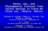 Water, Gas, and Phylogenetic Analyses from Sulfur Springs in Cueva de Villa Luz, Tabasco, Mexico Michael N. Spilde, Tobias P. Fischer, and Diana E. Northup.