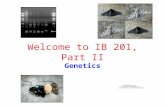 Welcome to IB 201, Part II Genetics. IB 201 Genetics and Evolution Part 2 Genetics Dr. Kim Hughes 465B Morrill Hall kahughes@uiuc.edu Office hours: Tu/Th.