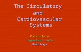 The Circulatory and Cardiovascular Systems Vocabulary Important info Headings.
