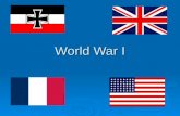 World War I. What started World War I?  Gavrilo Princip joined the Black Hand terrorist organization- wanted to free Bosnia- Herzegovina from Austro-Hungarian.