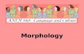 Morphology. Definition: the analysis of word structure.