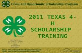 2011 TEXAS 4-H SCHOLARSHIP TRAINING Developed by Dr. Toby L. Lepley Extension 4-H and Youth Development Specialist.