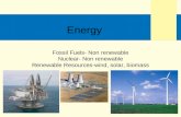Fossil Fuels- Non renewable Nuclear- Non renewable Renewable Resources-wind, solar, biomass Energy