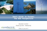 Smart Grids in Europe: The DSO Perspective Gunnar Lorenz Head of Unit - Networks CIRED, 07 June 2011.