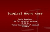 Surgical Wound care Tarja Bergfors RN for surgical nursing M.Ed.Sc Turku University of Applied Science.