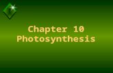 Chapter 10 Photosynthesis. Photosynthesis Ps General Equation Requires: