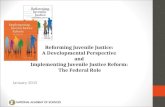 Reforming Juvenile Justice: A Developmental Perspective and Implementing Juvenile Justice Reform: The Federal Role January 2015.