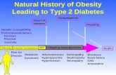 Natural History of Obesity Leading to Type 2 Diabetes Genetic susceptibility Environmental factors Nutrition Physical inactivity Atherosclerosis Hyperglycemia.