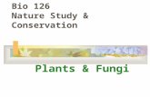 Bio 126 Nature Study & Conservation Plants & Fungi.