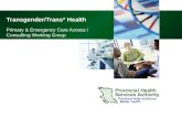 Transgender/Trans* Health Primary & Emergency Care Access / Consulting Working Group.