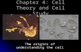 Chapter 4: Cell Theory and Cell Study The origins of understanding the cell.