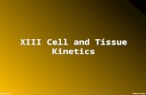 Ahmed GroupLecture 13 XIII Cell and Tissue Kinetics.