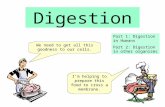 Digestion We need to get all this goodness to our cells. I’m helping to prepare this food to cross a membrane. Part 1: Digestion in Humans Part 2: Digestion.
