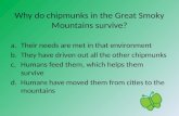 Why do chipmunks in the Great Smoky Mountains survive? a.Their needs are met in that environment b.They have driven out all the other chipmunks c.Humans.