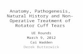 Anatomy, Pathogenesis, Natural History and Non-Operative Treatment of Rotator Cuff Tears UE Rounds March 9, 2012 Cai Wadden Derek Butterwick.