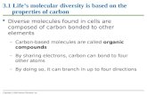 3.1 Life’s molecular diversity is based on the properties of carbon  Diverse molecules found in cells are composed of carbon bonded to other elements.