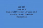 CSS 360 Lecture 4 Bacterial Diversity, Viruses, and Introduction to Bacterial Metabolism.