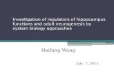 Investigation of regulators of hippocampus functions and adult neurogenesis by system biology approaches Haifang Wang July 7, 2015.