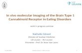 In vivo molecular imaging of the Brain Type 1 Cannabinoid Receptor in Eating Disorders 25/06/2009Nathalie Gérard - MIRC seminar1 Nathalie Gérard Division.