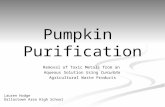 Pumpkin Purification Removal of Toxic Metals from an Aqueous Solution Using Curcurbita Agricultural Waste Products Lauren Hodge Dallastown Area High School.