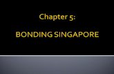 Singapore – who are we?  What are the challenges of a multi- ethnic society?  How can ethnic diversity be managed?  Why is it important to manage.