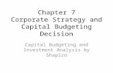 Chapter 7 Corporate Strategy and Capital Budgeting Decision Capital Budgeting and Investment Analysis by Shapiro.