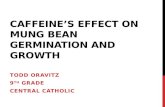 CAFFEINE’S EFFECT ON MUNG BEAN GERMINATION AND GROWTH TODD ORAVITZ 9 TH GRADE CENTRAL CATHOLIC.