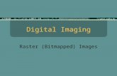 Digital Imaging Raster (Bitmapped) Images. 1. How they work…  Image data is stored in literal “map”  Each pixel (picture element) is measured for its.