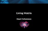 Living Matrix Heart Coherence. Insert Video = Heart Coherence.