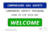 CG - 1 NWACC Business & Industry Workforce Development Institute WELCOME OSHA 29 CFR 1910.101 COMPRESSED GAS SAFETY CORPORATE SAFETY TRAINING.