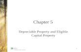 Chapter 5 Depreciable Property and Eligible Capital Property 1.
