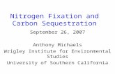 Nitrogen Fixation and Carbon Sequestration September 26, 2007 Anthony Michaels Wrigley Institute for Environmental Studies University of Southern California.