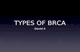 TYPES OF BRCA David A. Histopathologic Types Pre/non-Invasive Ductal Carcinoma In Situ (DCIS) Lobular Carcinoma In Situ (LCIS) Invasive Invasive Ductal.