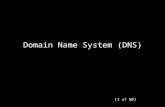(1 of 50) Domain Name System (DNS). (2 of 50) Outline: Domain Name System (DNS) Providing Readable Names Flat Namespace Hierarchical Names Subset Authority.