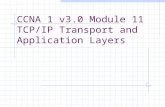CCNA 1 v3.0 Module 11 TCP/IP Transport and Application Layers.