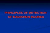 PRINCIPLES OF DETECTION OF RADIATION INJURES. Accidental dosimetry PHYSICAL DOSIMETR Y BIOLOGICAL DOSIMETRY CLINICAL DOSIMETRY DOSE RECONSTRUCTION, Personal.