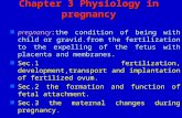 Chapter 3 Physiology in pregnancy pregnancy:the condition of being with child or gravid.from the fertilization to the expelling of the fetus with placenta.