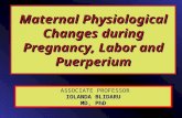Maternal Physiological Changes during Pregnancy, Labor and Puerperium ASSOCIATE PROFESSOR IOLANDA BLIDARU MD, PhD.