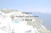Chapter 2 Structure and functions Of the Cell. Nucleus: For storage of genetic information.