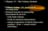 Chapter 17 - The Urinary System Urinary system - fnc. producing & excreting urine Essential function in maintaining homeostasis & survival: –body fluid.