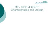 RIP, IGRP, & EIGRP Characteristics and Design. 2 Chapter Topics  RIPv1  RIPv2  IGRP  EIGRP.